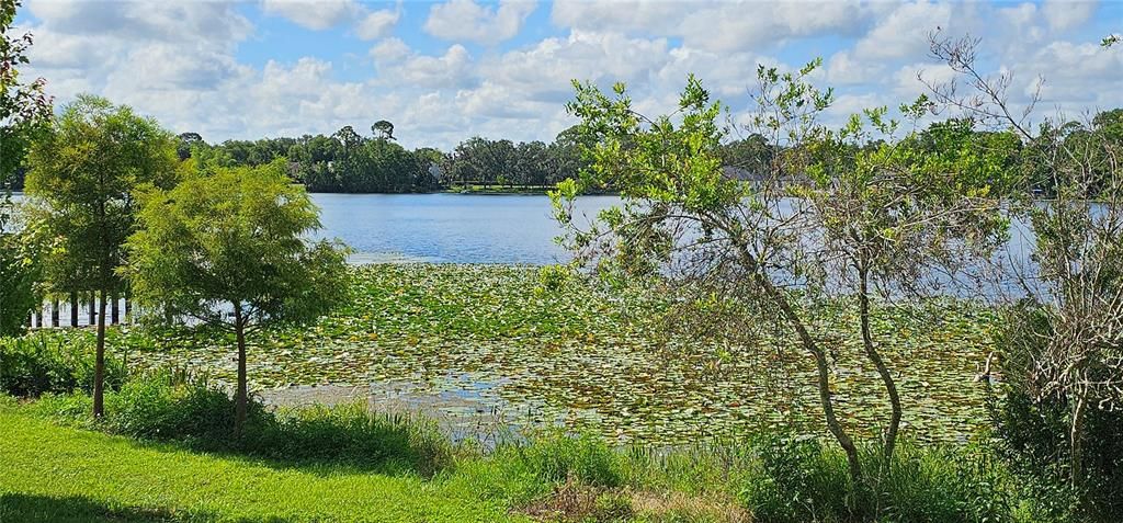 Image 34 of property listing at 593 LAKE WILDMERE COVE, Longwood, FL 32750
