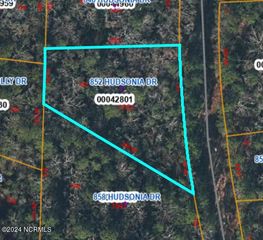 852 Hudsonia Drive, Vass, NC 28394
