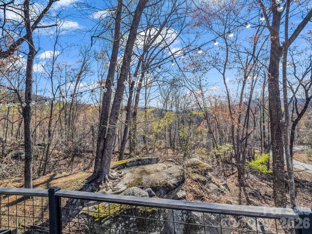 456 Youngs Mountain Drive, Lake Lure, NC 28746