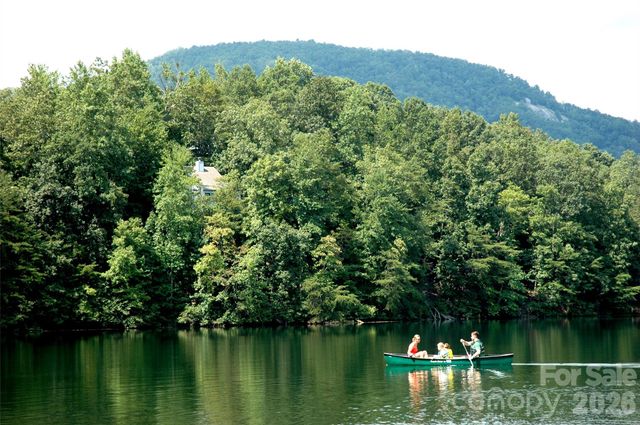 456 Youngs Mountain Drive, Lake Lure, NC 28746