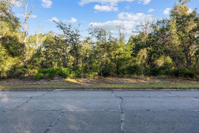 TBD SW 174 PLACE, Ocala, FL 34473
