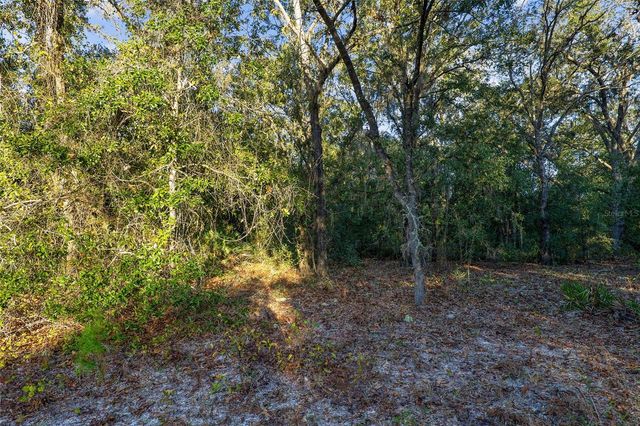 TBD SW 174 PLACE, Ocala, FL 34473