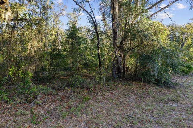 TBD SW 174 PLACE, Ocala, FL 34473