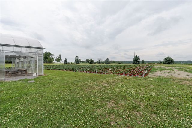 10131 Runyon Road, Ossian, NY 14437