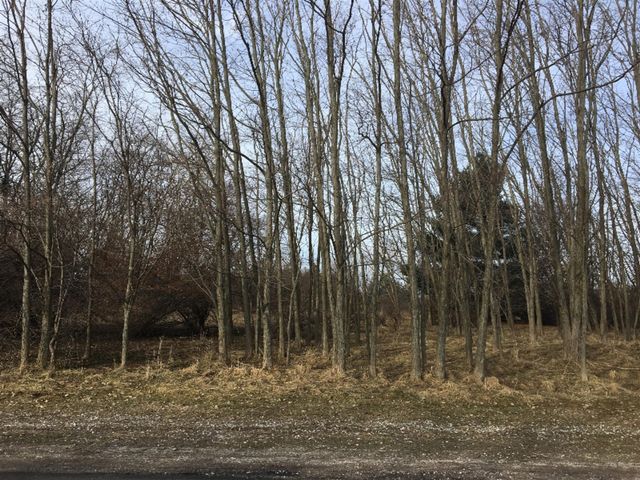 0 12th Street, Manistee, MI 49660