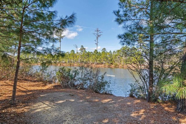 800 Wild Leaf Loop, Conway, SC 29526