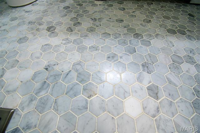 13036 GERANIUM Court, St Louis, MO 63146