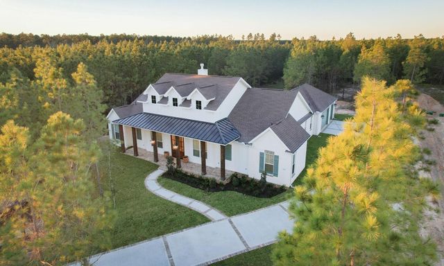 11561 Inspiration Drive, Willis, TX 77378