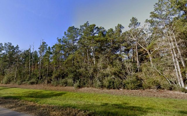 11561 Inspiration Drive, Willis, TX 77378