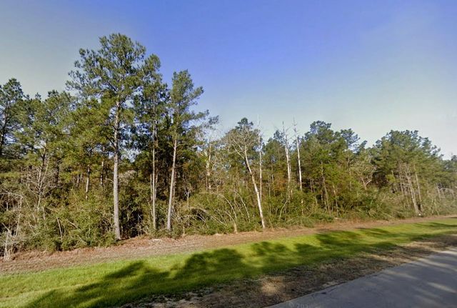 11561 Inspiration Drive, Willis, TX 77378