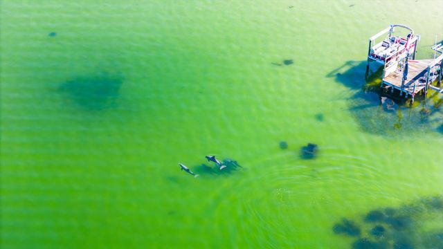 217 Yacht Club Drive, Fort Walton Beach, FL 32548