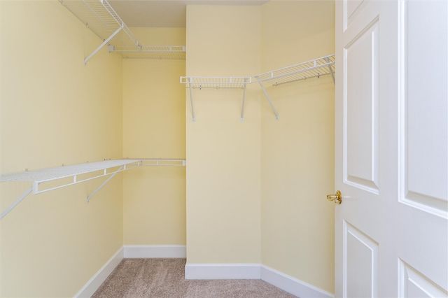 20 Magnolia Ln, Webster, NY 14580