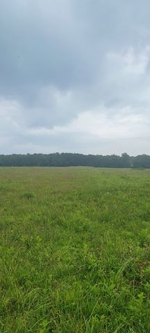 6 Fredonia Road, Manchester, TN 37355