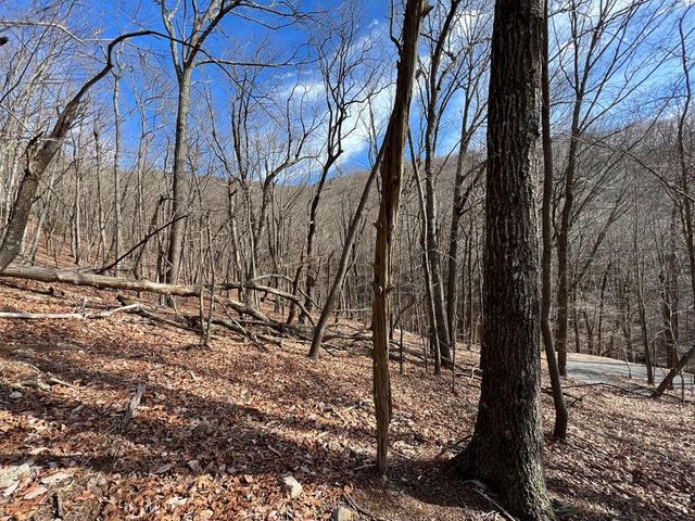 4528 Sassafras Mountain Trail, Jasper, GA 30143