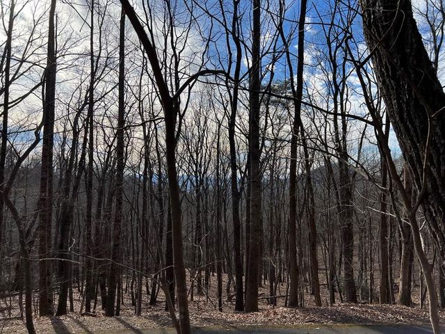 4528 Sassafras Mountain Trail, Jasper, GA 30143