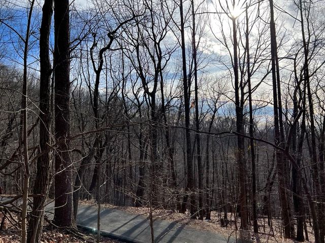 4528 Sassafras Mountain Trail, Jasper, GA 30143