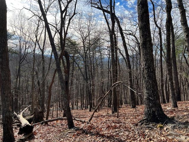 4528 Sassafras Mountain Trail, Jasper, GA 30143