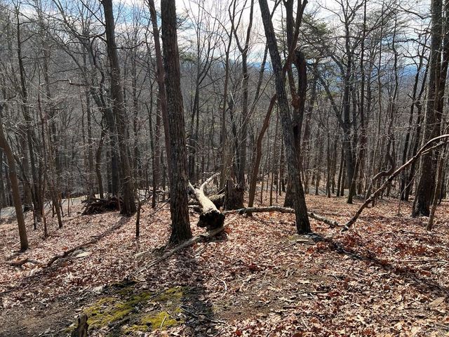 4528 Sassafras Mountain Trail, Jasper, GA 30143