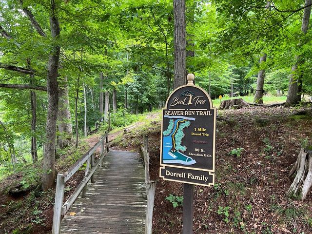 4528 Sassafras Mountain Trail, Jasper, GA 30143