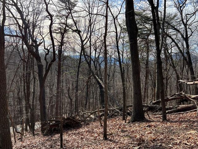 4528 Sassafras Mountain Trail, Jasper, GA 30143