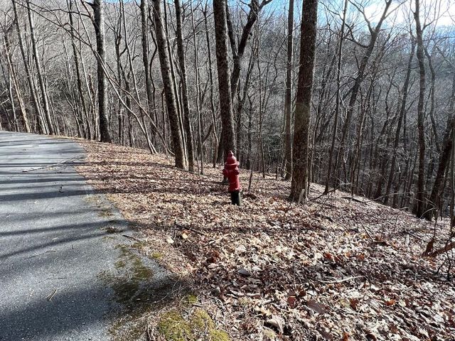 4528 Sassafras Mountain Trail, Jasper, GA 30143