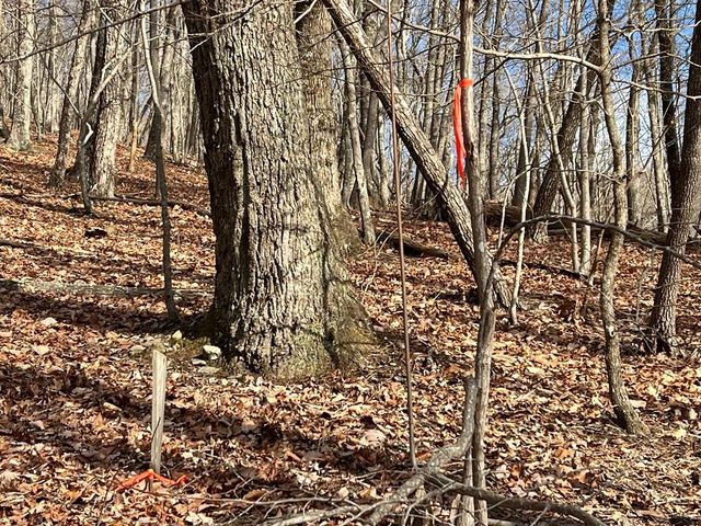 4528 Sassafras Mountain Trail, Jasper, GA 30143