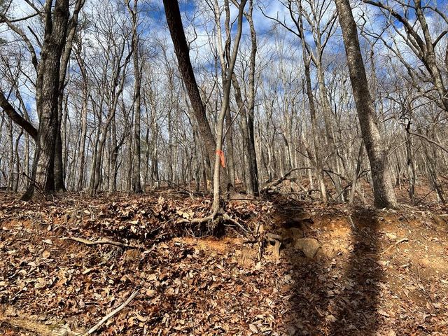 4528 Sassafras Mountain Trail, Jasper, GA 30143