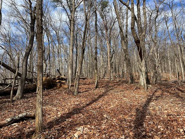 4528 Sassafras Mountain Trail, Jasper, GA 30143