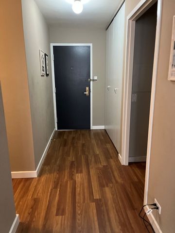 777 N Michigan Avenue 1504, Chicago, IL 60611