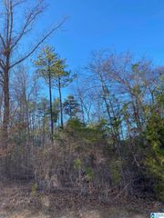 218 FOXTAIL PATH, Westover, AL 35147