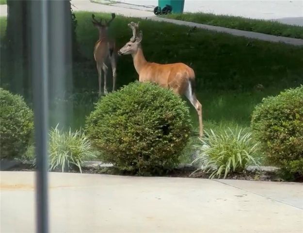 6036 Goodman Street, Merriam, KS 66202