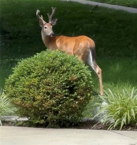 6036 Goodman Street, Merriam, KS 66202