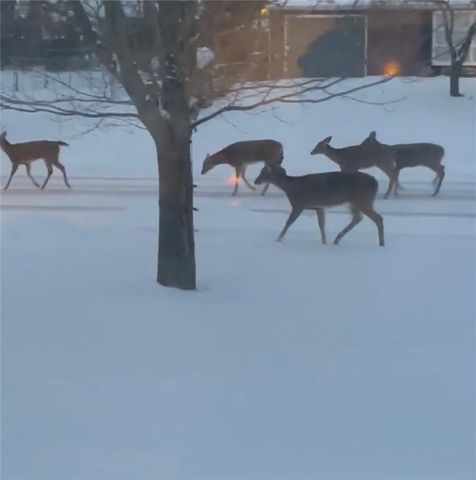 6036 Goodman Street, Merriam, KS 66202