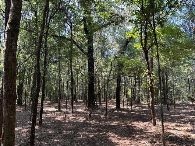 0 Danner Road, Wilmer, AL 36587