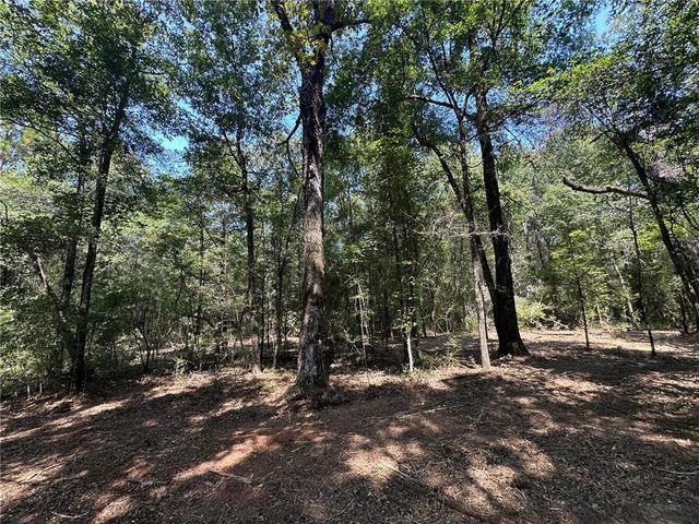 0 Danner Road, Wilmer, AL 36587