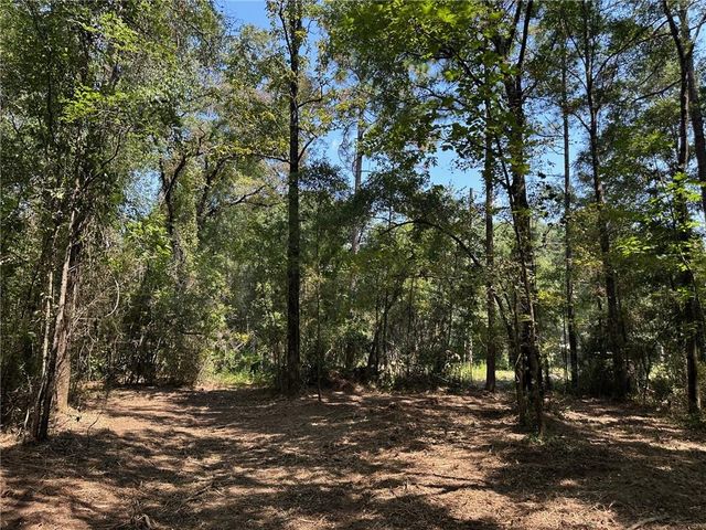 0 Danner Road, Wilmer, AL 36587