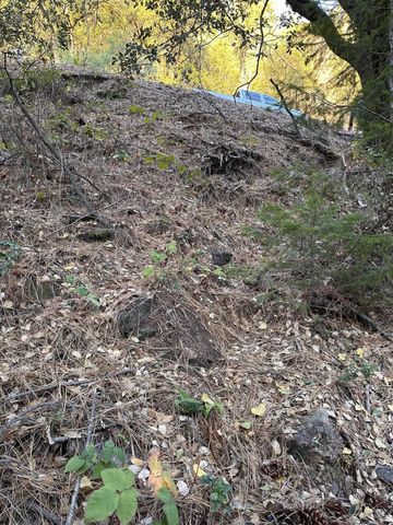 CA-299, Bella Vista, CA 96008