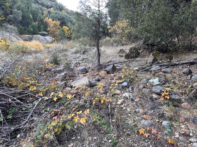 CA-299, Bella Vista, CA 96008