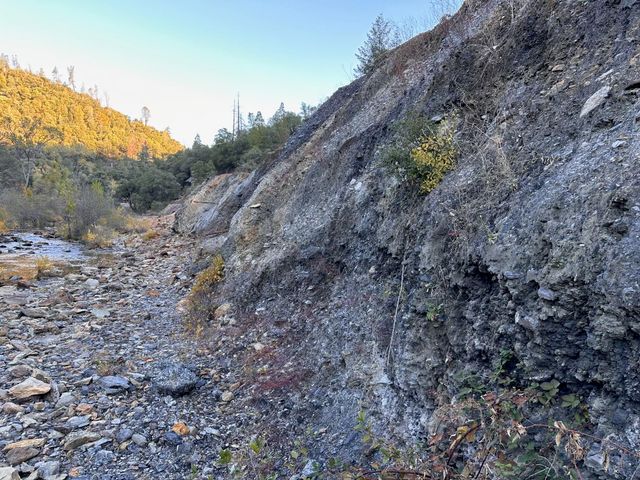 CA-299, Bella Vista, CA 96008