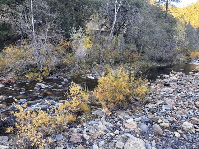 CA-299, Bella Vista, CA 96008