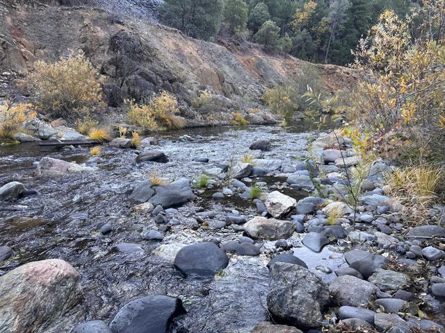 CA-299, Bella Vista, CA 96008