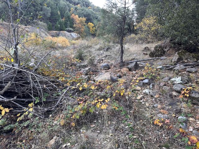 CA-299, Bella Vista, CA 96008