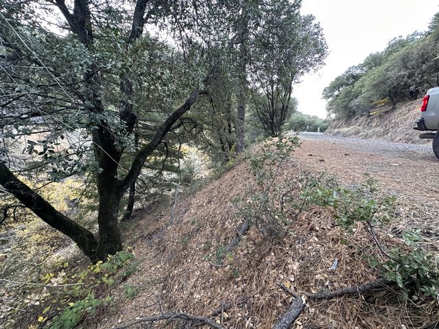 CA-299, Bella Vista, CA 96008