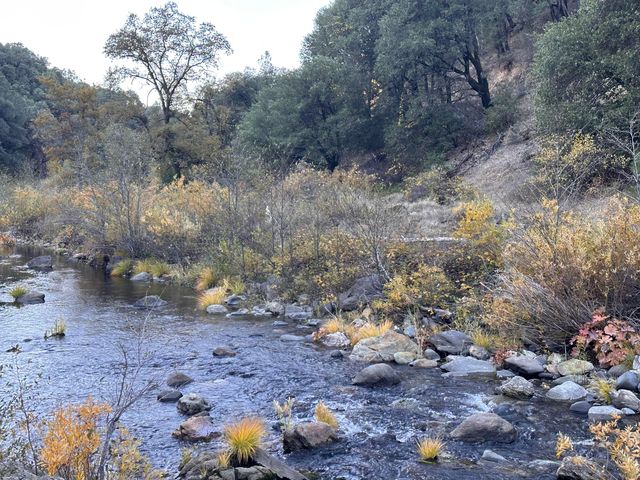 CA-299, Bella Vista, CA 96008