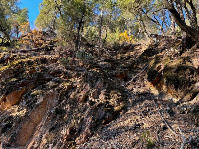 CA-299, Bella Vista, CA 96008