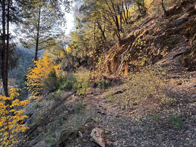 CA-299, Bella Vista, CA 96008