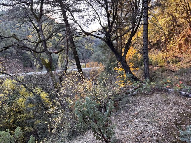 CA-299, Bella Vista, CA 96008