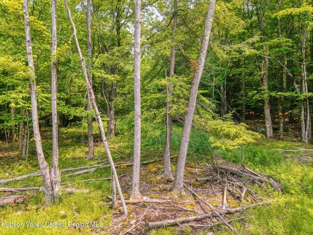 Tbd Boulder Brook Lot B10, Windham, NY 12496