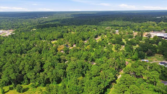 0 Hillendale Drive, Livingston, TX 77351