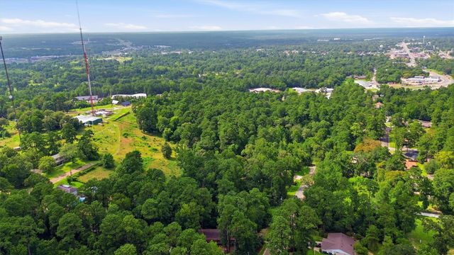 0 Hillendale Drive, Livingston, TX 77351